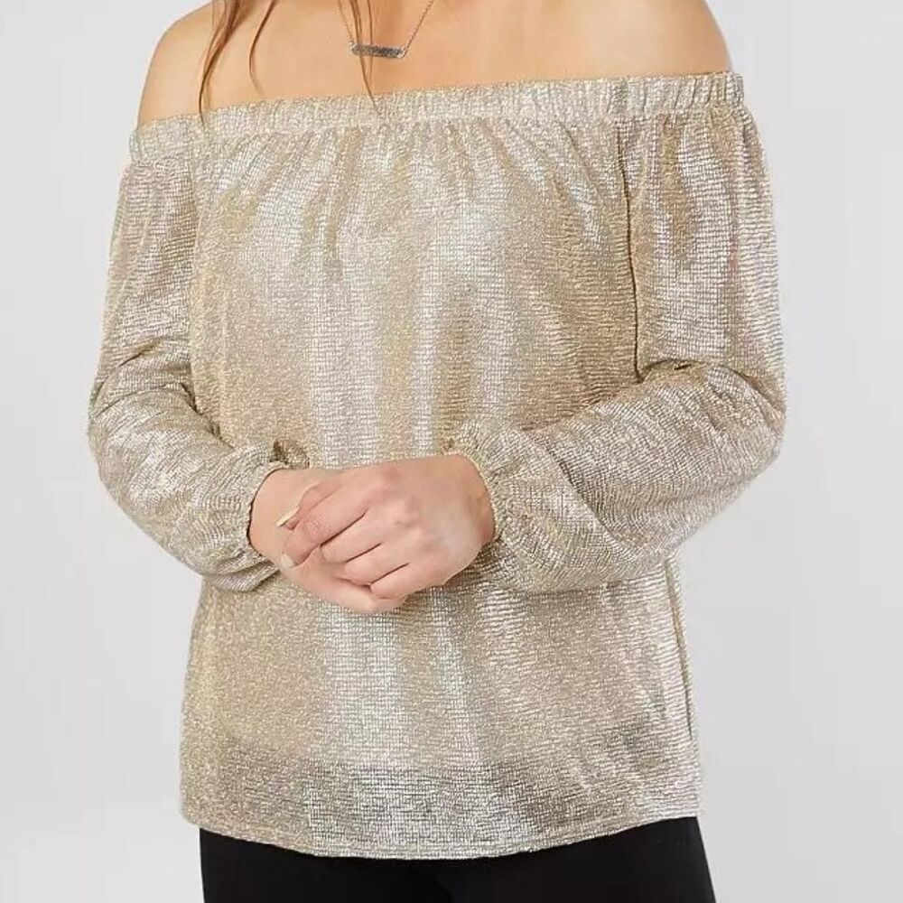 Daytrip sheer metallic gold silver off the shoulder lined long sleeve top XS
